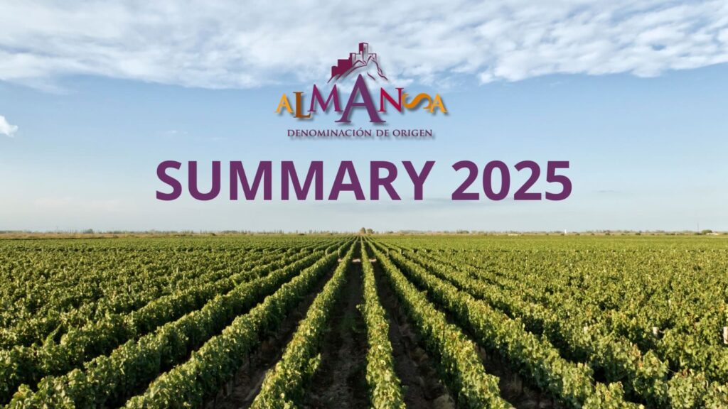 summary do almansa 2025 top