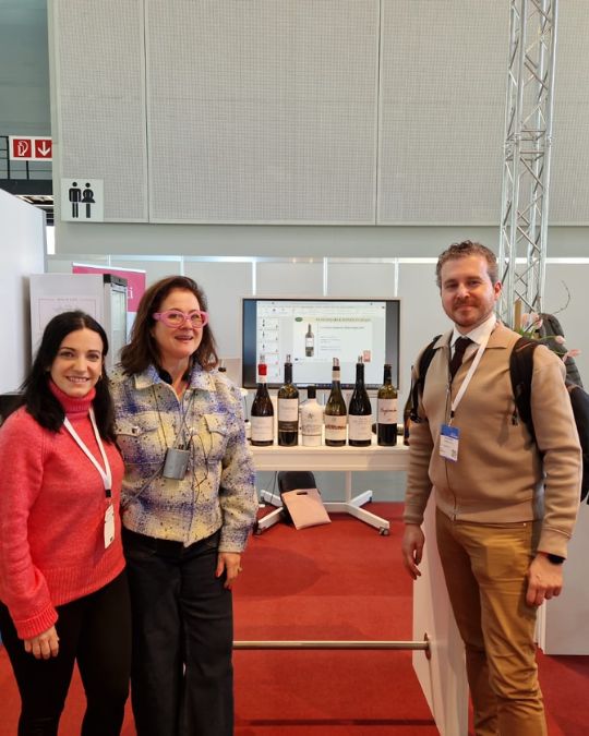 do almansa y claudia stern