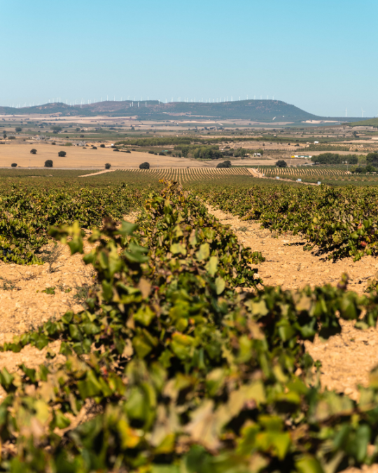 38